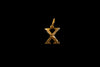 X Alphabet Gold Locket