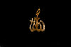 Arabic Script Allah Gold Locket